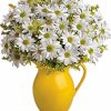 White daisies in yellow ceramic pitcher