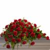Half casket spray with red carnations