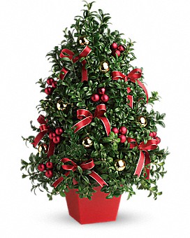 Bedecked Boxwood Tree